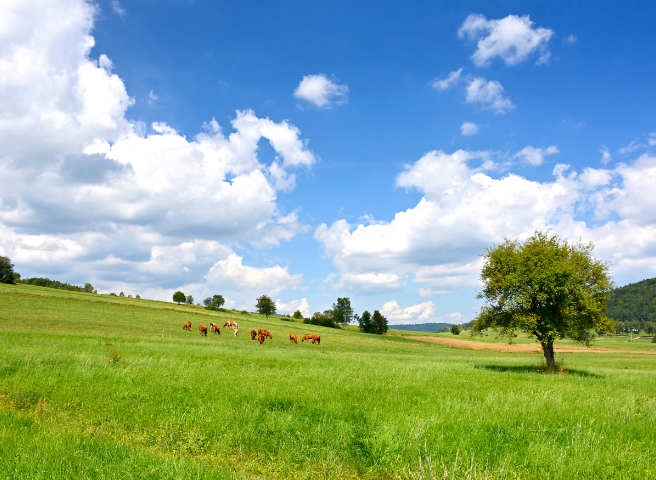 遠くを見る習慣
